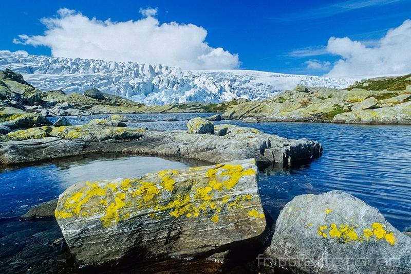 Trolltunga Odda Apartments Dış mekan fotoğraf